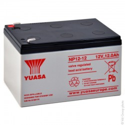 NP12-12 YUASA