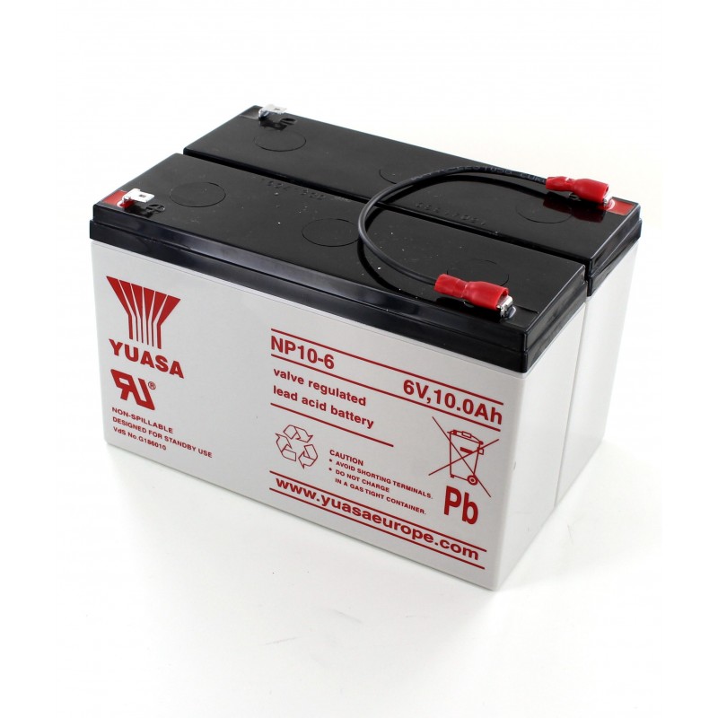 Batterie AGM YUASA NP10-12 12V 10Ah