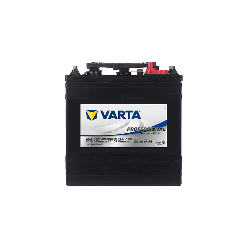 Batterie à décharge profonde VARTA GC2_1 Professional Deep Cycle