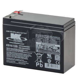 ES10-12S MK Battery