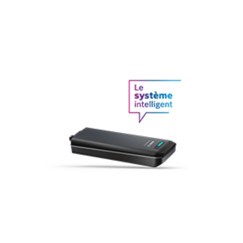 Batterie vélo électrique PowerPack 400 Rack 36V 10.8Ah