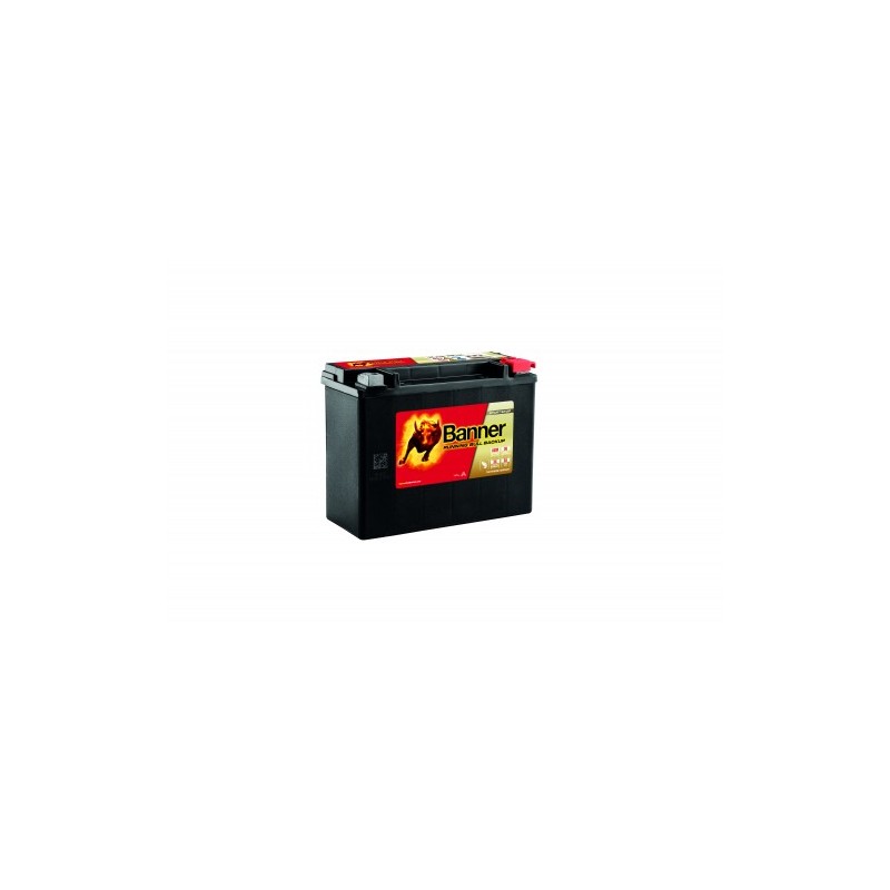 Batterie BANNER 51801 20Ah 300A
