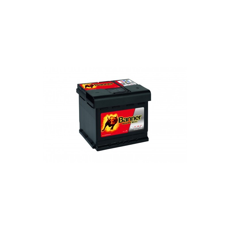 Batterie BANNER P5003 50Ah 450A