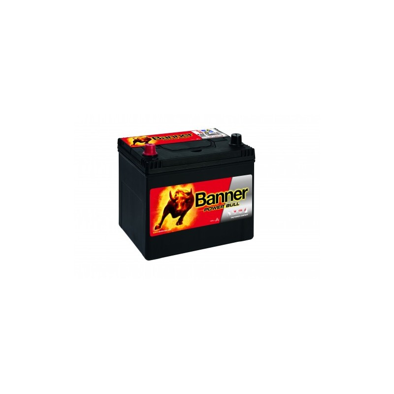 Batterie BANNER P6069 60Ah 510A