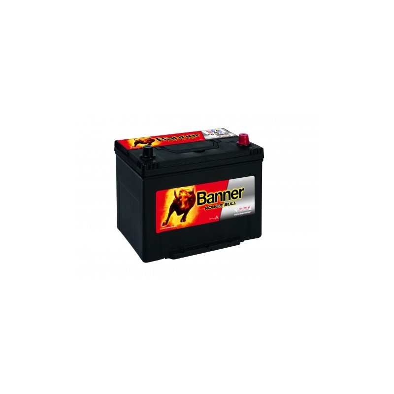 Batterie BANNER P7029 70Ah 600A