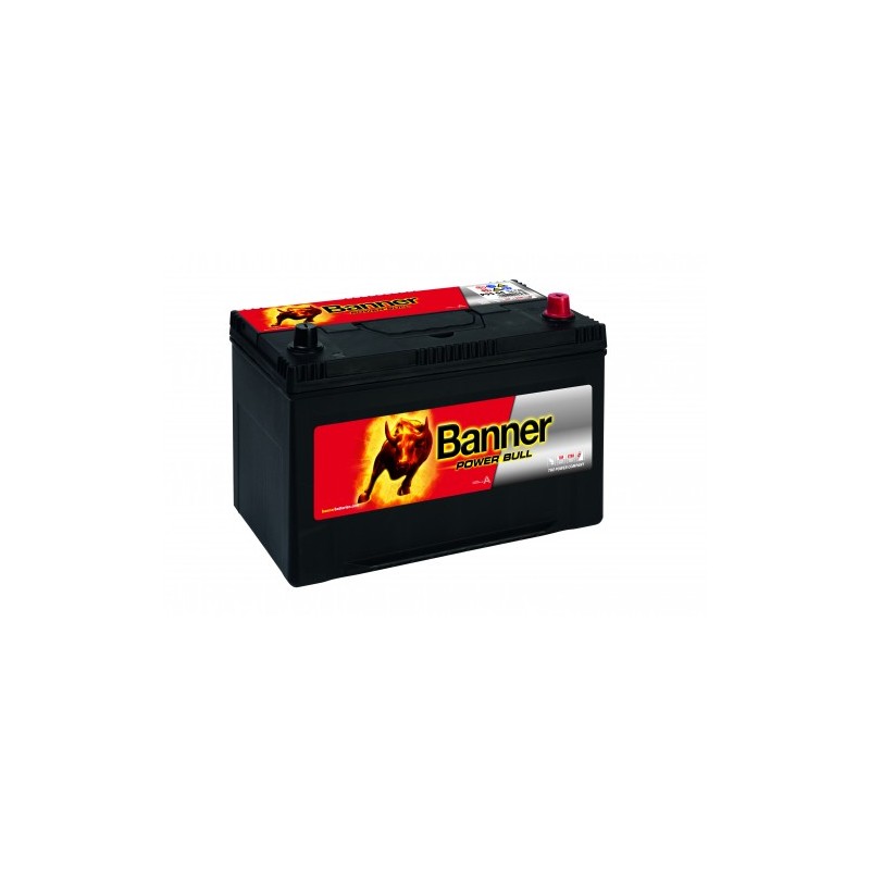 Batterie BANNER P9504 95Ah 740A