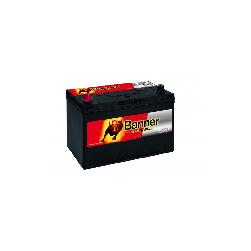 Batterie BANNER P9505 95Ah 740A