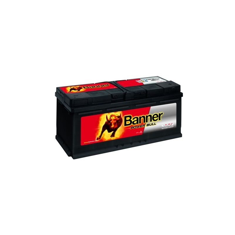 Batterie BANNER P10040 100Ah 820A