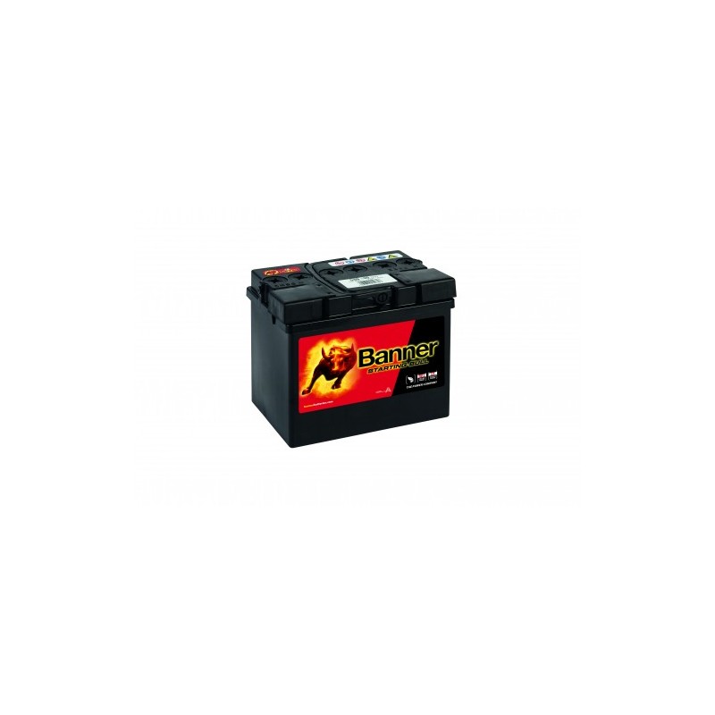 Batterie BANNER 53030 30Ah 300A