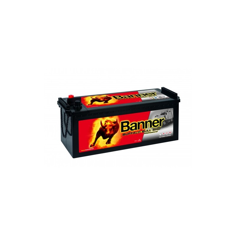 Batterie camion BANNER SHD PRO 68008 180Ah 1000A