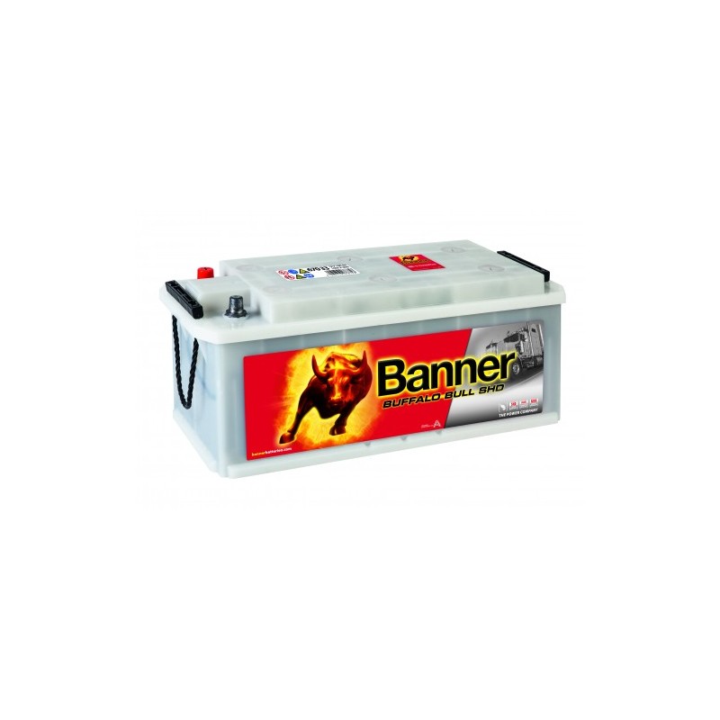 Batterie camion BANNER SHD 67033 170Ah 1000A