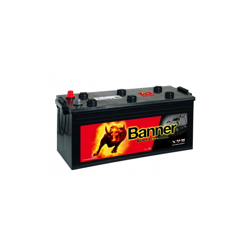 Batterie camion BANNER 72511 225Ah 1050A