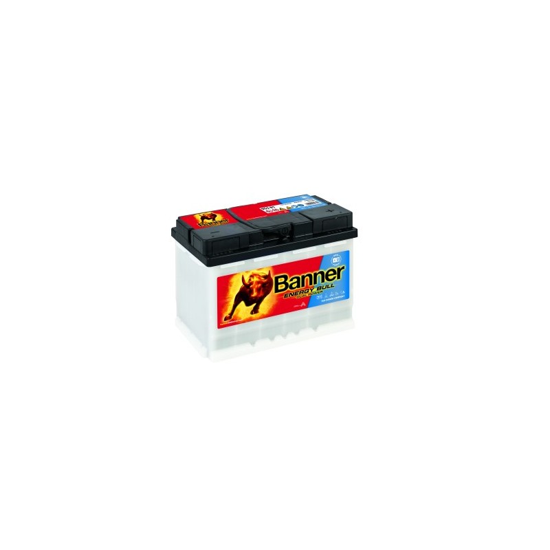 Batterie BANNER 95501 60Ah