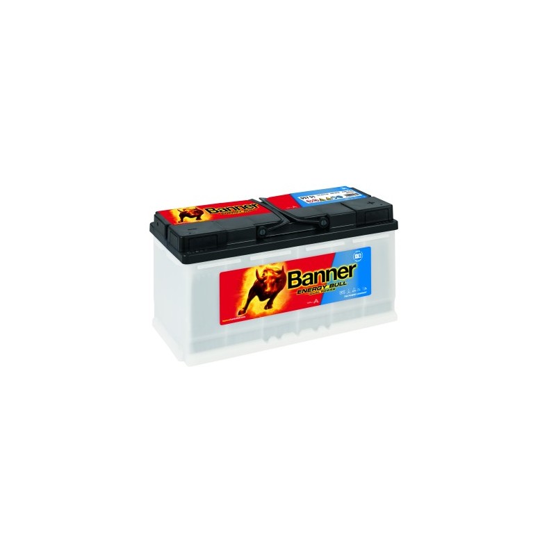 Batterie BANNER 95751 100Ah