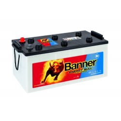 Batterie BANNER 96801 230Ah