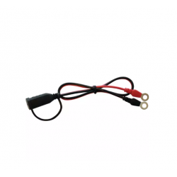 CTEK CABLE OEILLETS M6