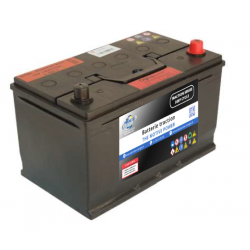 Batterie Traction D980EE...